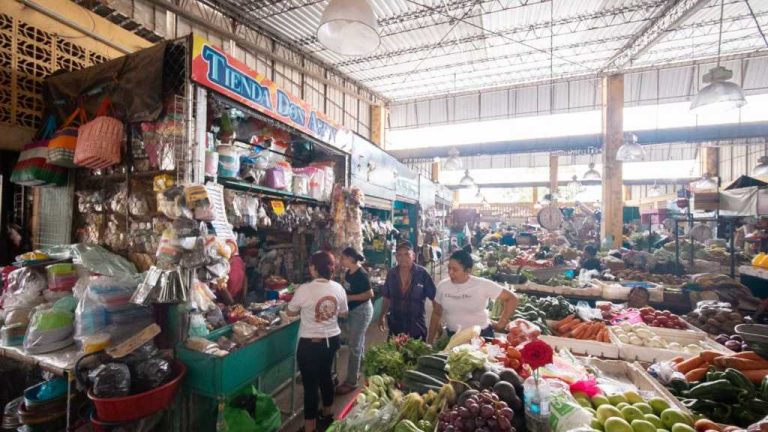 DOM inicia reconstrucción moderno mercado Nueva Concepción