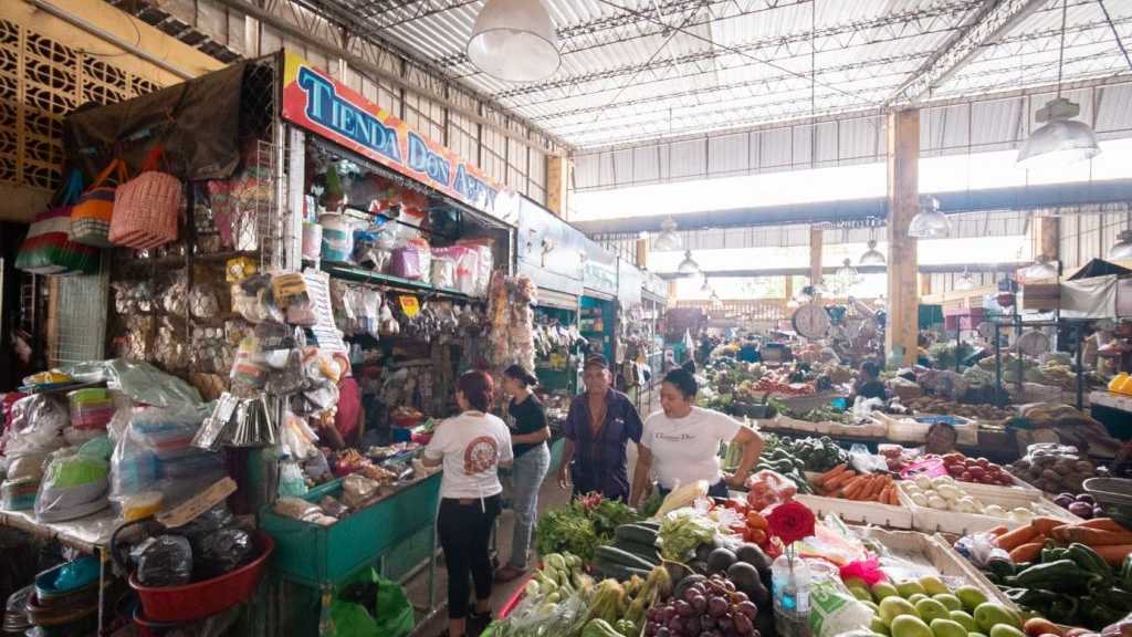 DOM inicia reconstrucción moderno mercado Nueva Concepción