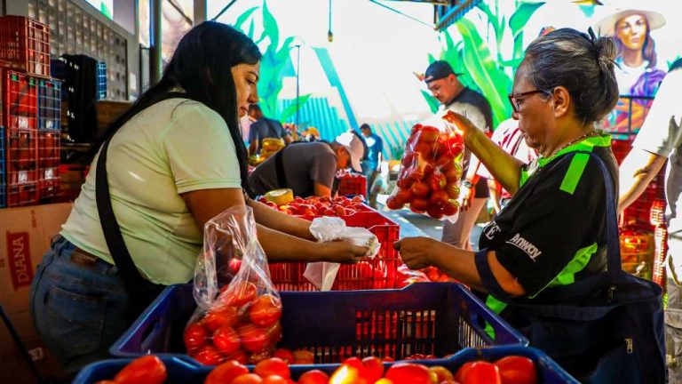 Los Agromercados forman parte de la fase 1 del Plan Económico, impulsado por el Presidente Nayib Bukele para mejorar la economía familiar.