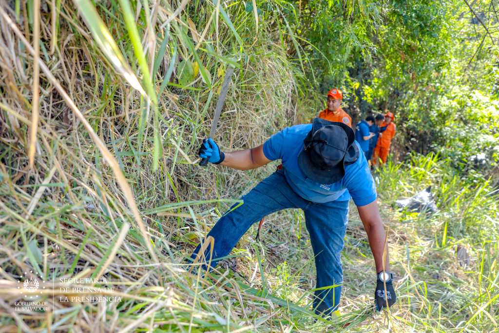Las tareas, incluyen remoción de desechos, limpieza de drenajes, descopado de árboles, chapoda para prevenir emergencias por las lluvias.