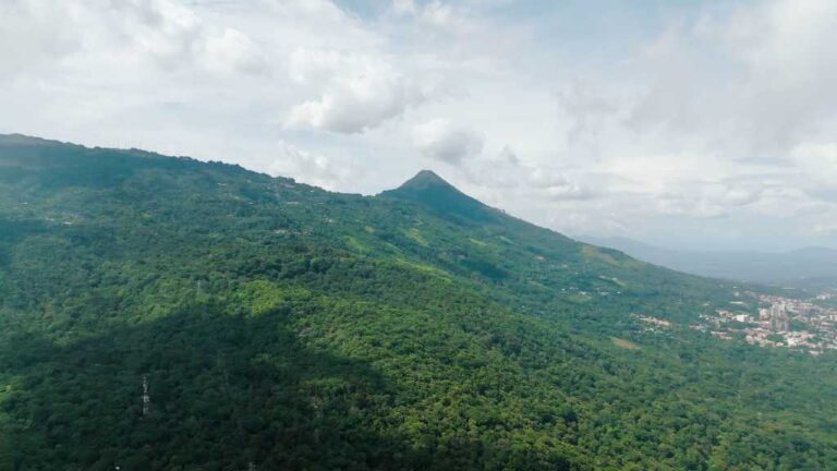 Desde 2021, la empresa es la primera en El Salvador en producir el 100% de sus bebidas con energía renovable en sus plantas de producción.