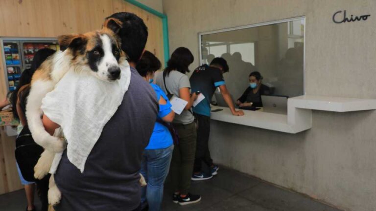 El presidente Bukele, reabre la Chivo Pets y aumentó su presupuesto para garantizar un servicio aún mejor que, el que ya se ofrecía.