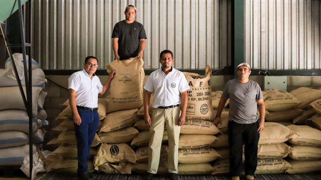El Salvador, exportó más de 1,000 quintales de café con un precio de $350 dólares por quintal, haciendo un total de millón de dólares.