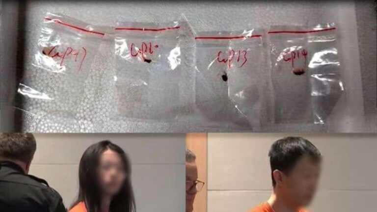 Aún se desconoce si los dos científicos chinos estarían desarrollando actividades de espionaje en favor de China comunista.