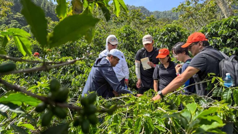 El XXVI Simposio Latinoamericano de Caficultura, desarrollado 15 al 18 de julio de 2025, reconoció calidad del café de El Salvador