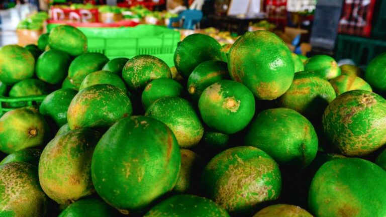 De 2:00 am a 10:00 pm La Central de Abastos, opera de manera continua con frutas, verduras y otros alimentos para el hogares negocios.