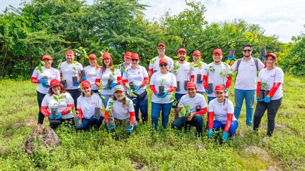 Más de 400 árboles fueron plantados en el área natural protegida Los Almendros, Sonsonate, en la reforestación de Claro El Salvador.