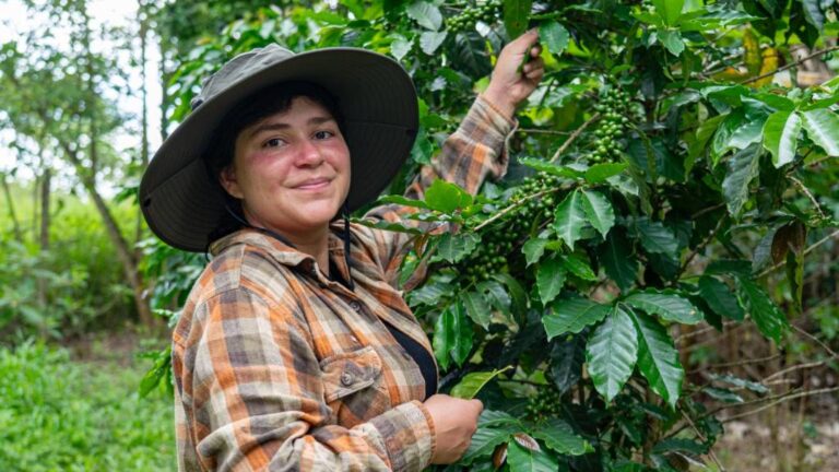 El Plan Nescafé destaca la importancia de adoptar prácticas sostenibles que protejan el medio ambiente, la calidad del café y de las personas
