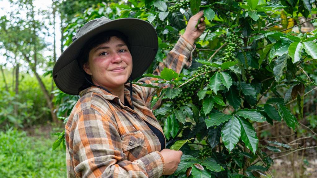 El Plan Nescafé destaca la importancia de adoptar prácticas sostenibles que protejan el medio ambiente, la calidad del café y de las personas