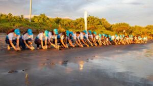 Por décima ocasión, AES El Salvador participó en la liberación de tortugas marinas Golfina en la playa El Espino, Jucuarán, Usulután Este.