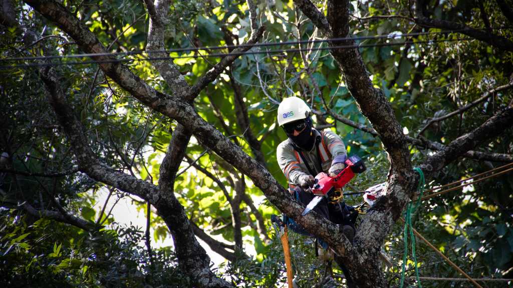 AES CLESA, una empresa de AES El Salvador, desarrolló una jornada de poda sustentable en vegetación fuera de estándar en Santa Ana.