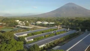 Grupo Campestre con sus empresas Avícola Campestre y Panadería Sinaí busca dinamizar la economía nacional y atraer capital productivo.