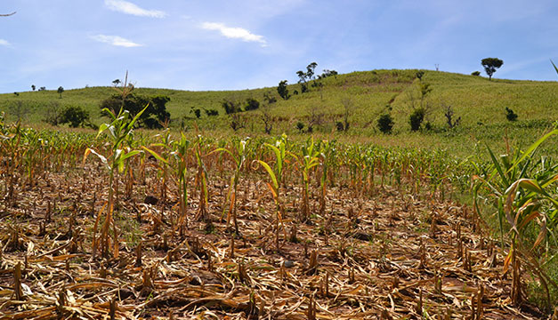 Tercer periodo de sequía deja una racha de 13 días sin lluvias