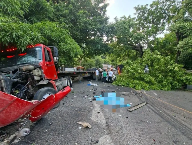 El Salvador acumula 903 fallecidos en accidentes de tránsito