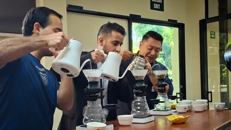 El Salvador avanza hacia la apertura del mercado de Arabia Saudita para su café de especialidad, para la cosecha 2026-2027.