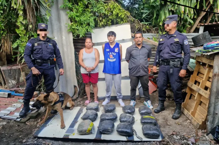 Capturan a tres personas tras incautación de 12 porciones de marihuana en San Salvador